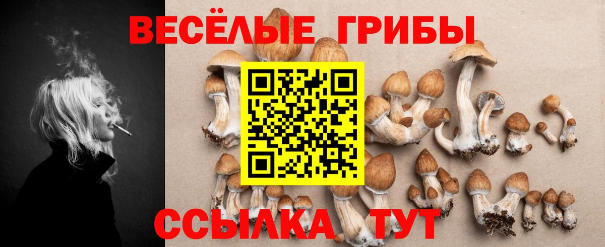 Костомукша  закладка  Псилоцибиновые грибы Psilocybe  Вход с VPN  Галлюциногенные грибы Magic Shrooms 
